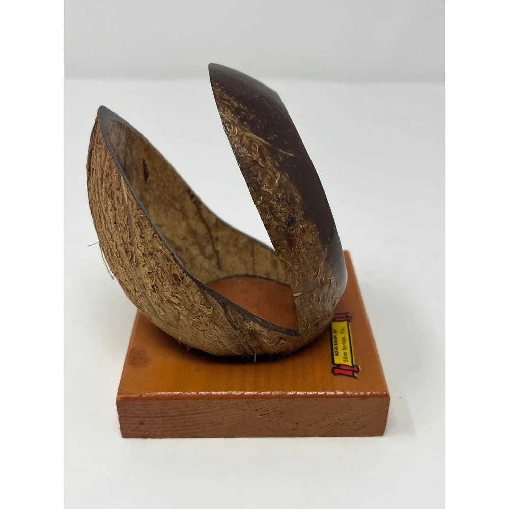 VTG Silver Springs Florida Coconut Shell Napkin Holder Tropical Tiki 3.5X3.5